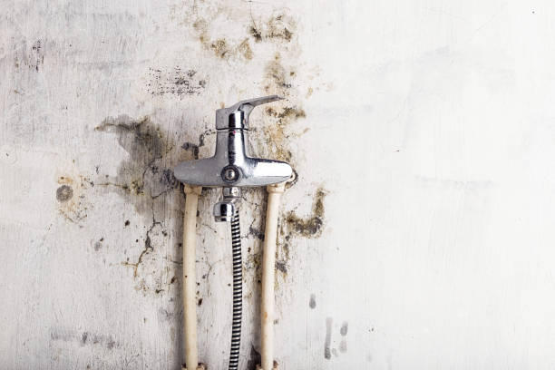 Best Mold Testing and Removal  in Spartanburg, SC