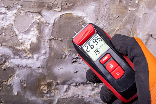 Best Mold Damage Repair  in Spartanburg, SC