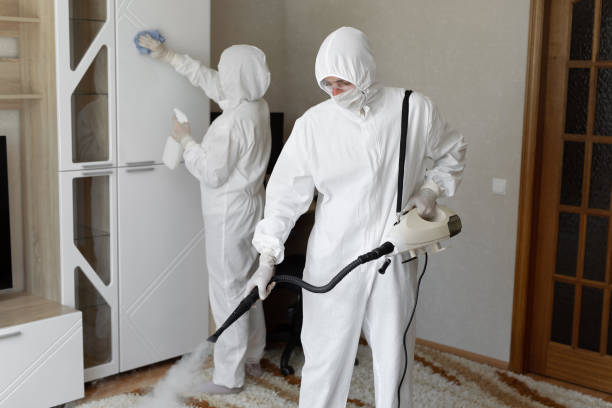 Certified Mold Removal in Spartanburg, SC