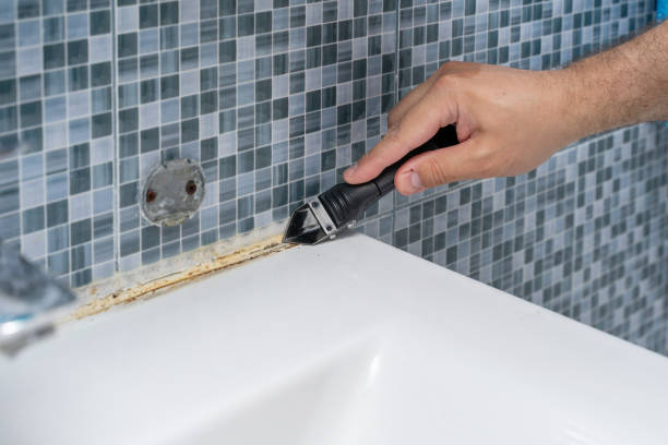 Mold Removal Process in Spartanburg, SC
