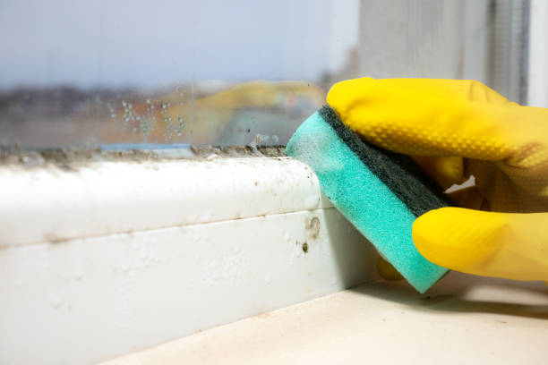Best Professional Mold Removal  in Spartanburg, SC
